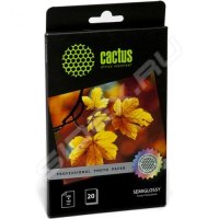  Cactus (CS-SGA628020) Professional, , 10x15, 280 / 2, 20 