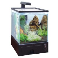  AA-Aquariums Aqua Box betta 5.7  
