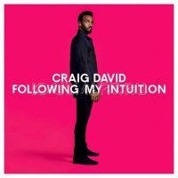 CD  DAVID, CRAIG "FOLLOWING MY INTUITION", 1CD