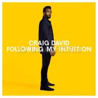 CD  DAVID, CRAIG "FOLLOWING MY INTUITION", 1CD
