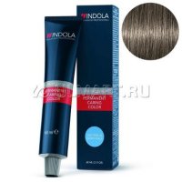    Indola Professiona  6.1   , 60 