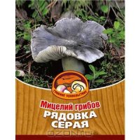 Таблетка Мицелий грибов "Рядовка серая", в субстрате объемом 60 мл