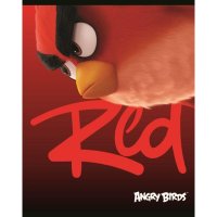  48  A5       -ANGRY BIRDS-  1,043700