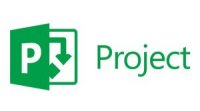  Microsoft Project Online Professional Open ShrdSvr Sngl SubsVL OLP NL Annual Promo Qlfd