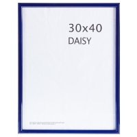  Daisy 30  40    