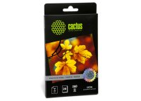  Cactus (CS-SMA626020) Professional, - (), 10x15, 260 / 2, 20 