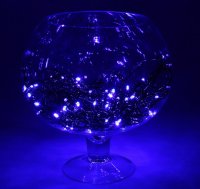 Luazon  LED-100-24  10m Blue 1586009
