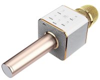   Palmexx PX/MIC-Q7 Gold