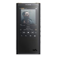  Sony NW-ZX300 Black