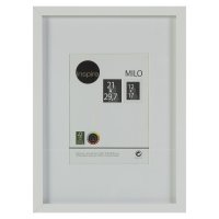  Inspire "Milo", 21  29.7 ,  