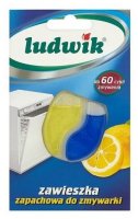 LUDWIK  6,6 