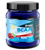   G.E.O.N. BCAA Quattro Amino (350 ) 