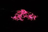 Гирлянда Shantou Gepai штора 100 ламп розовая JB202307