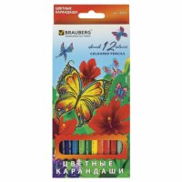 Упаковка Карандаши цветные Brauberg Wonderful butterfly 12 цветов 180535