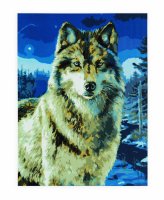 Картина по номерам Рыжий кот Ночной волк B908 холст