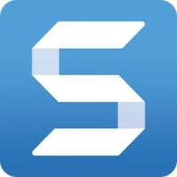 Видеоскоп TechSmith Snagit 3 Year Maintenance Renewal 5-9 Users Education