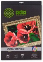  Cactus CS-CGA334010