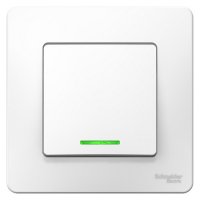  Schneider Electric BLNVS010611