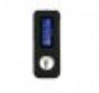MP3  Texet T-279 4GB  FM , OGG, WMA,  4GB  , Secure Digital, 