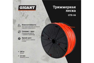     , 2.4 ,  245  Gigant GTR-04