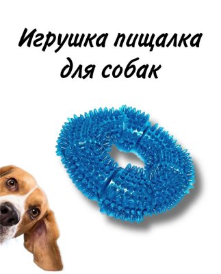  -        Pet Toys 