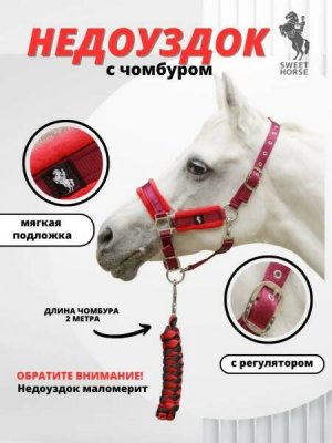     Sweethorse