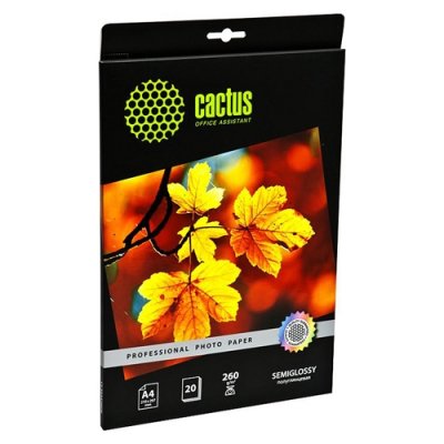  Cactus CS-SGA426020 Professional  A4 260 / 2 20 