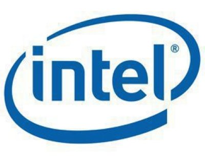  Intel RAID Maintenance Free Backup Maintenance Free Backup Unit for Intel(r) Intergraded RAID