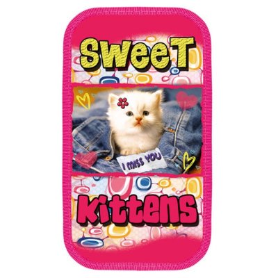  Sweet kittens .  190*110  12-9