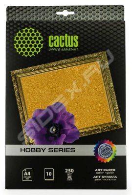  A4 (10 ) (Cactus CS-DA425010G) ()