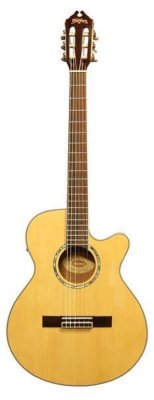   Washburn EAC12B