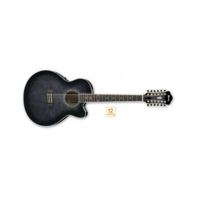   Ibanez AEL2012E-TK S