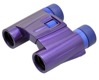  Kenko UltraVIEW 8x21 DH Purple