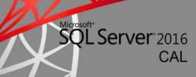   Microsoft SQL CAL 2016 Sngl OLP C UsrCAL