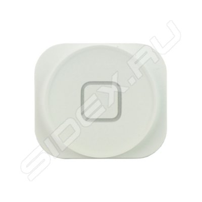  Home  Apple iPhone 5 (R0000246) ()