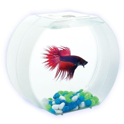  AA-Aquariums Betta    1.4 