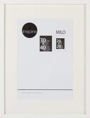  Inspire Milo, 30x40 ,  