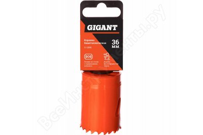   (36 ; 38 ) Gigant G-11061