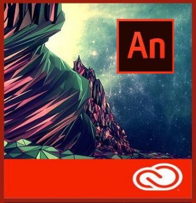   Adobe Animate / Flash Professional for enterprise 1 User Level 3 50-99,  1