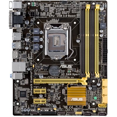   ASUS B85M-G Socket 1150 Intel B85 4xDDR3 1xPCI-E 16x 2xPCI-E 1x 2xSATAII 4xSATAIII